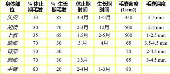 激光脫毛效果,影響脫毛因數,脫毛儀器廠家,脫毛激光產品