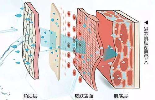 超微小氣泡--真有那么神奇？