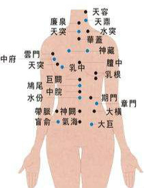 艾灸儀穴位圖解