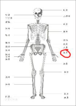 分娩后為什么盆骨會(huì)疼，盆骨肌修復(fù)儀是如何工作的？