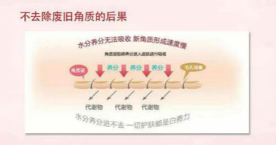 健康的角質層對皮膚的作用