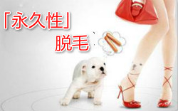 怎樣才稱(chēng)得上「永久脫毛」