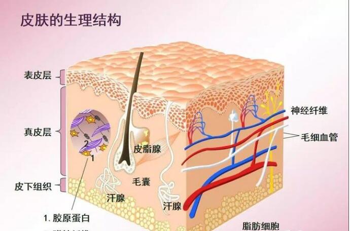 智能魔鏡皮膚檢測儀，讓您護膚之前先認清自己的“臉”